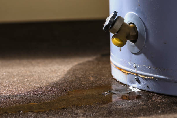 Best Basement water damage restoration  in West Tawakoni, TX