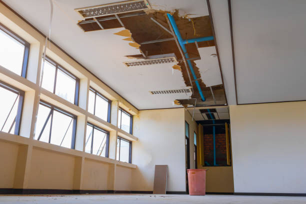 Best 24-hour water damage restoration  in West Tawakoni, TX