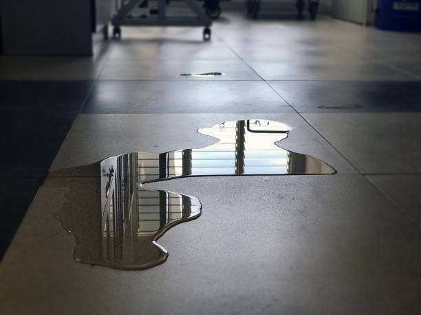 Best Water damage restoration company  in West Tawakoni, TX