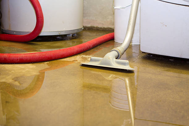 Water damage restoration insurance claims in West Tawakoni, TX