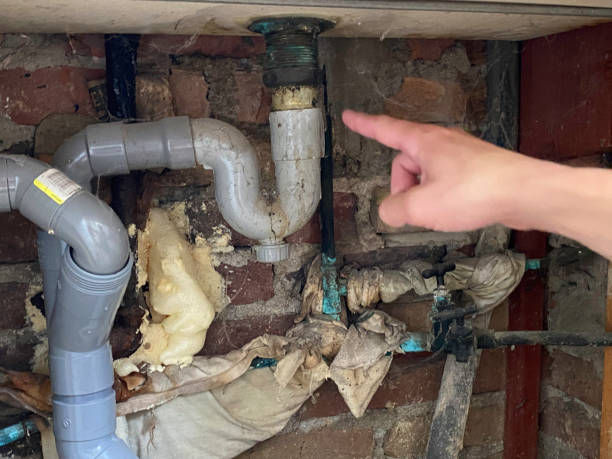 Best Local water damage restoration  in West Tawakoni, TX